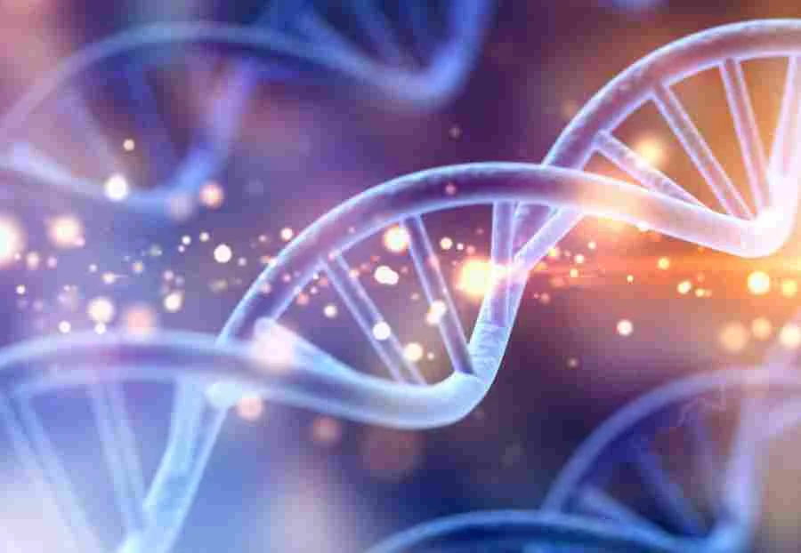 Siti di caricamento DNA gratuiti
