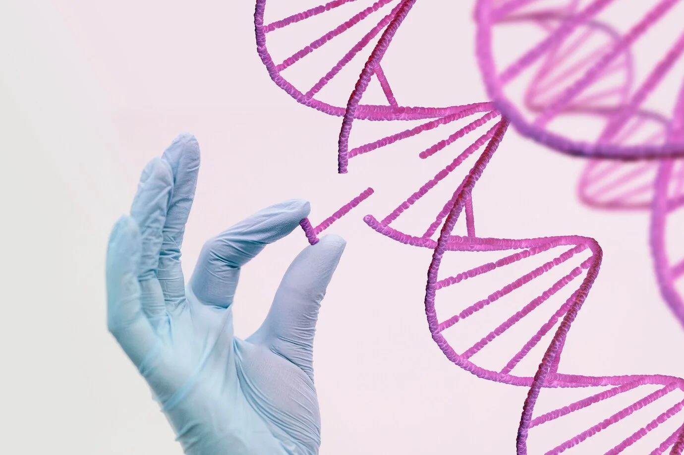 Siti per il caricamento dei dati grezzi del DNA
