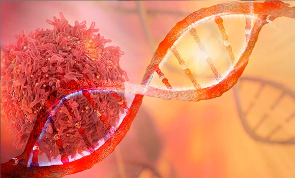 Genetic testing for cancer