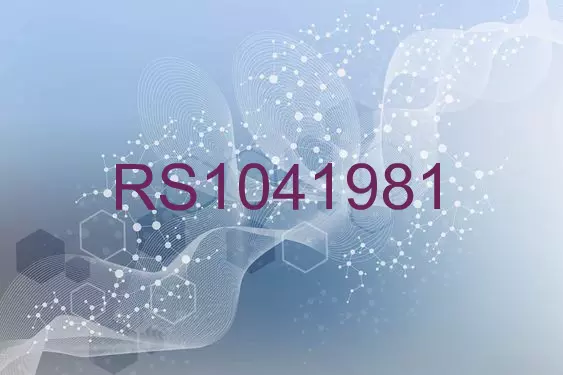 RS1041981