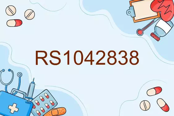 RS1042838