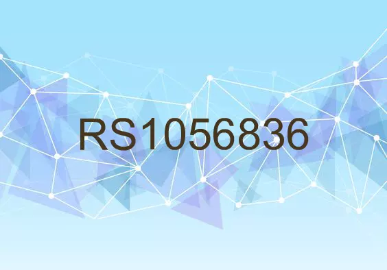 RS1056836