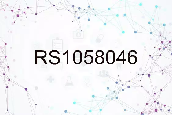 RS1058046