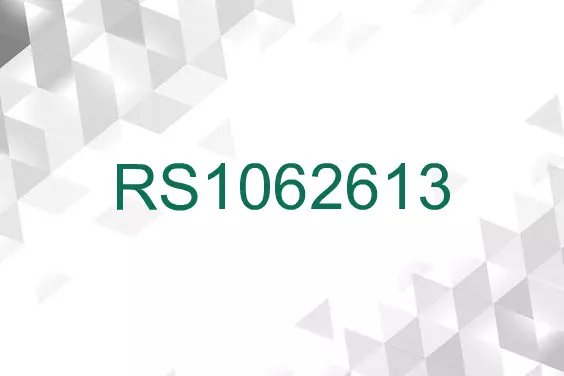 RS1062613