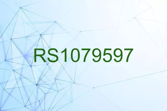 RS1079597