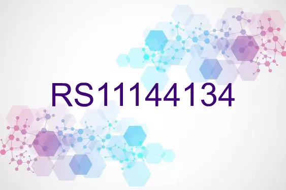 RS11144134