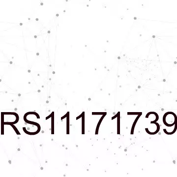 RS11171739