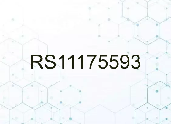 RS11175593