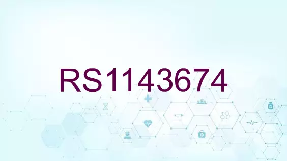 RS1143674