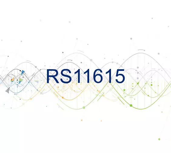 RS11615