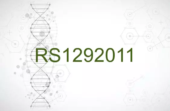 RS1292011