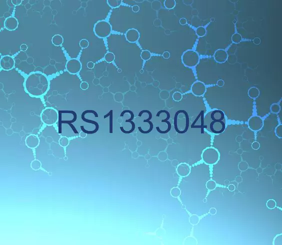 RS1333048