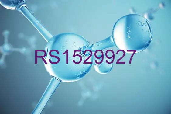 RS1529927