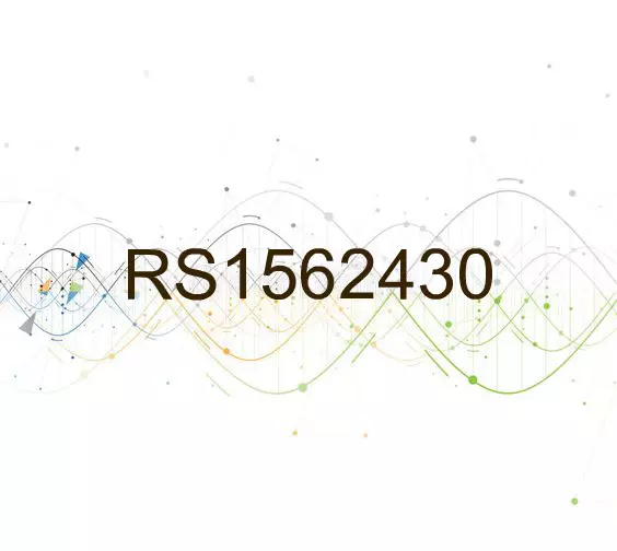 RS1562430