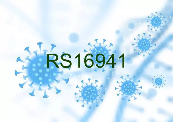 RS16941