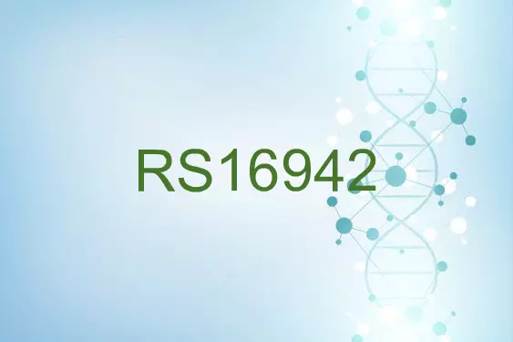 RS16942