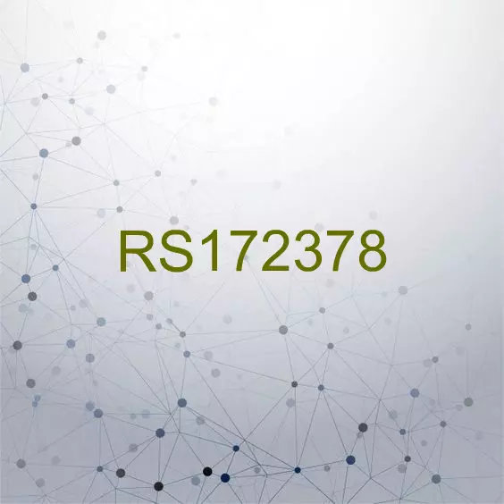 RS172378