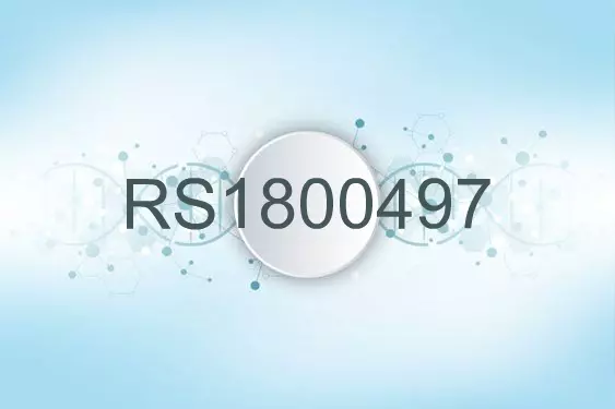 RS1800497