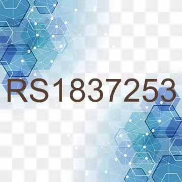 RS1837253