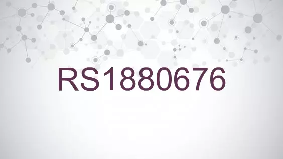 RS1880676