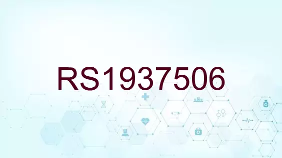 RS1937506