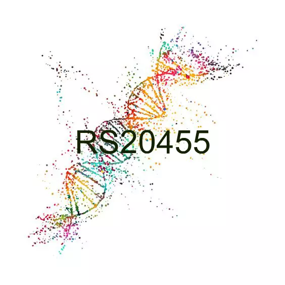 RS20455