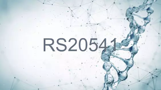 RS20541