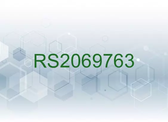 RS2069763