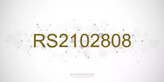 RS2102808