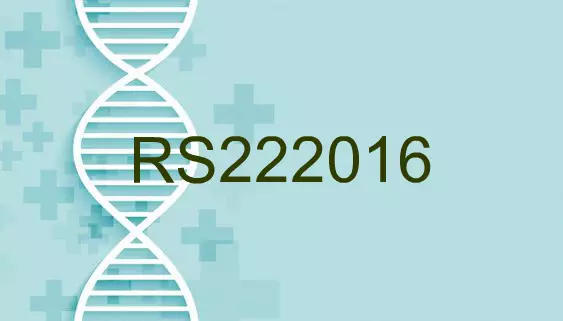 RS222016