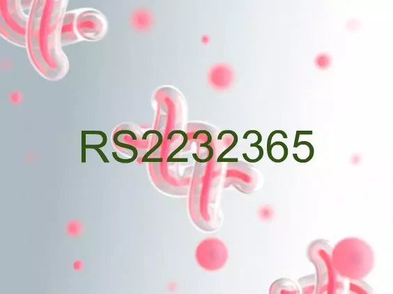 RS2232365