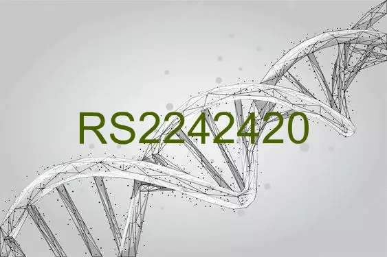 RS2242420