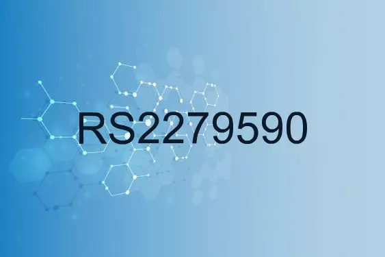 RS2279590