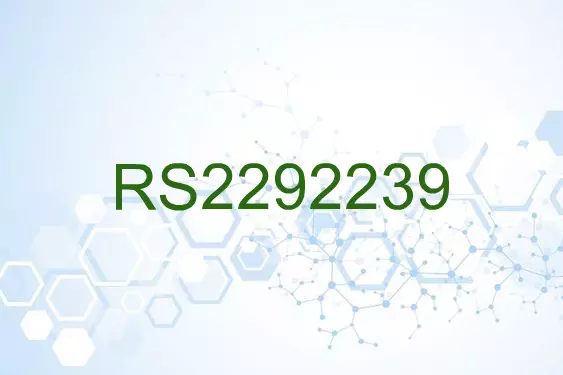 RS2292239