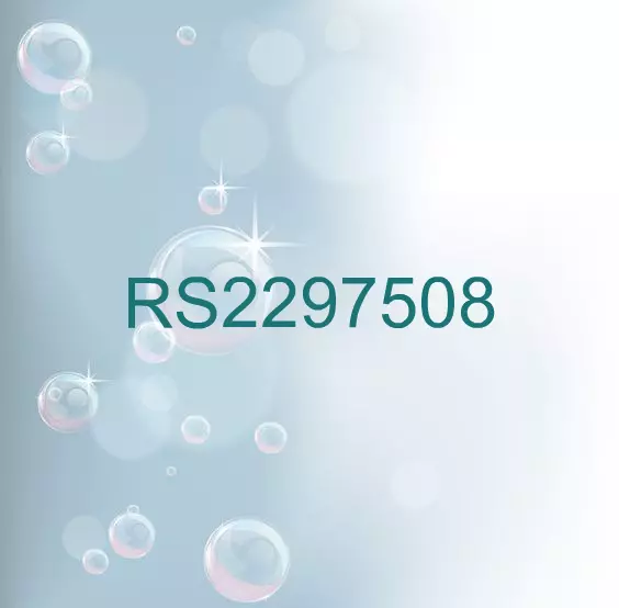 RS2297508