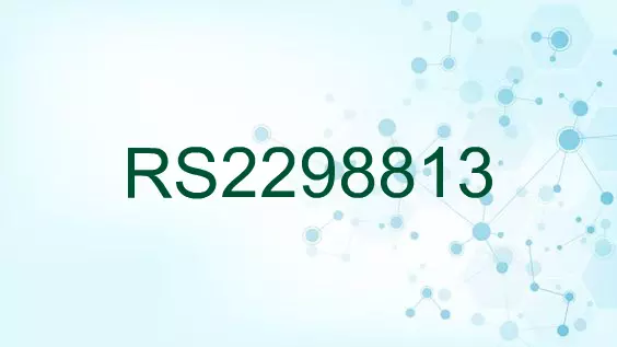 RS2298813