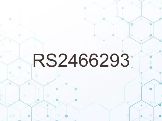 RS2466293