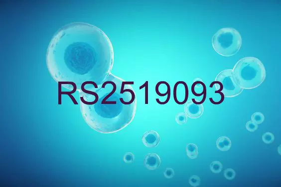 RS2519093