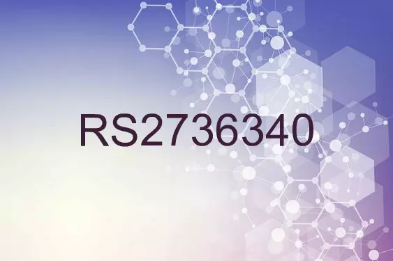 RS2736340