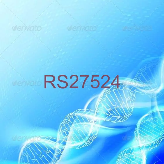 RS27524