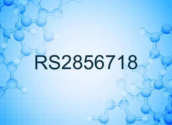 RS2856718