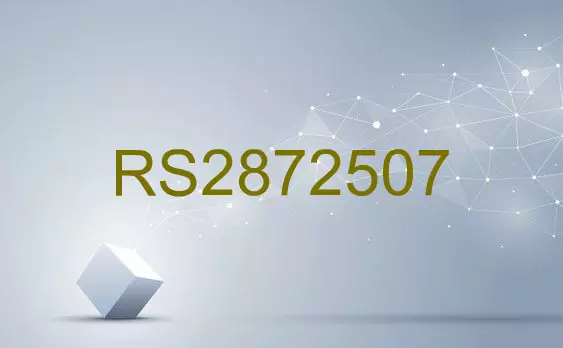 RS2872507