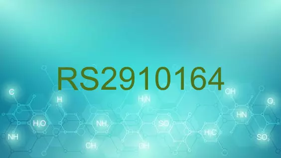 RS2910164