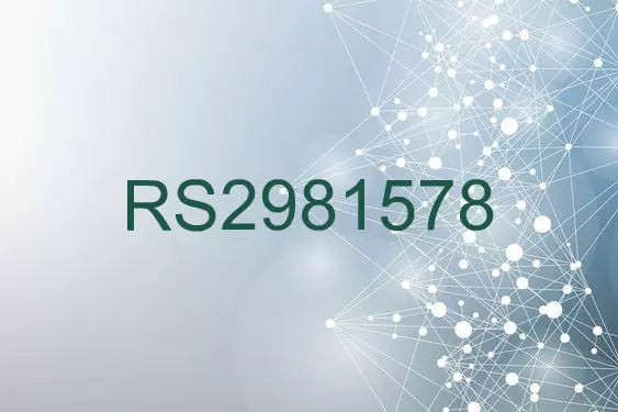 RS2981578