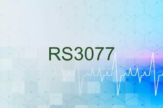 RS3077