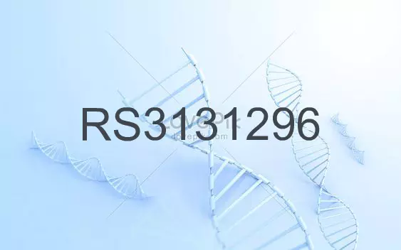 RS3131296