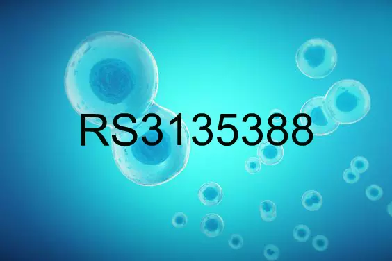 RS3135388