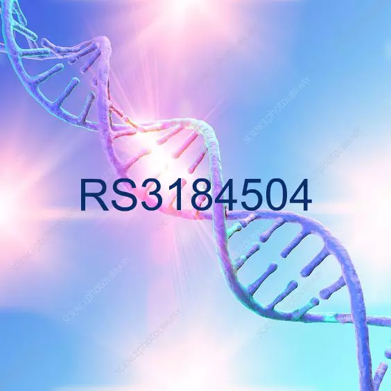 RS3184504