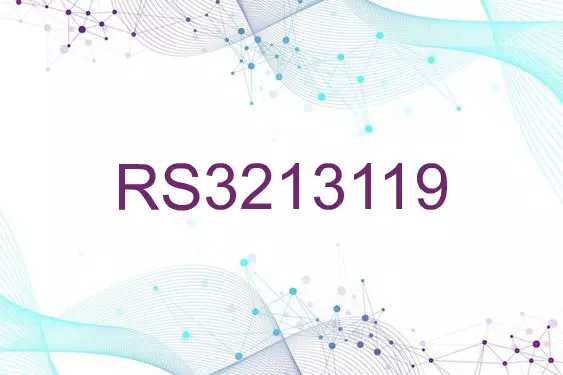 RS3213119