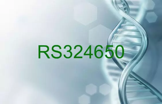 RS324650